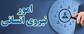 امور نیروی انسانی