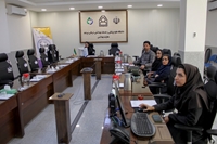  کارگاه نحوه شاخص گیری وتحلیل شاخص های برنامه سلامت دهان و دندان