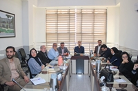 چهاردهمین کارگروه دانشگاهی پیشگیری از سقط عمدی جنین