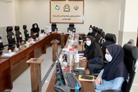 برگزاری وبینار تحلیل شاخصهای تغذیه ای و مکمل های مادران باردار